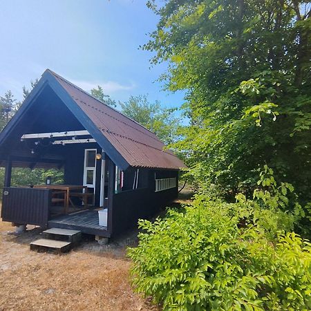 Tranum Klit Camping Og Hytteudlejning Brovst Luaran gambar